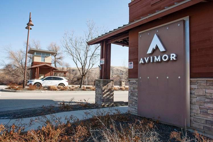 Avimor